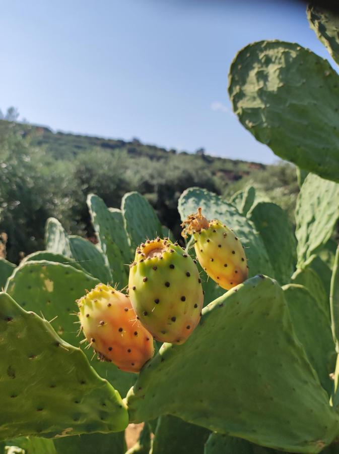Anatolika Stamatis Paradise Dempla Exteriér fotografie