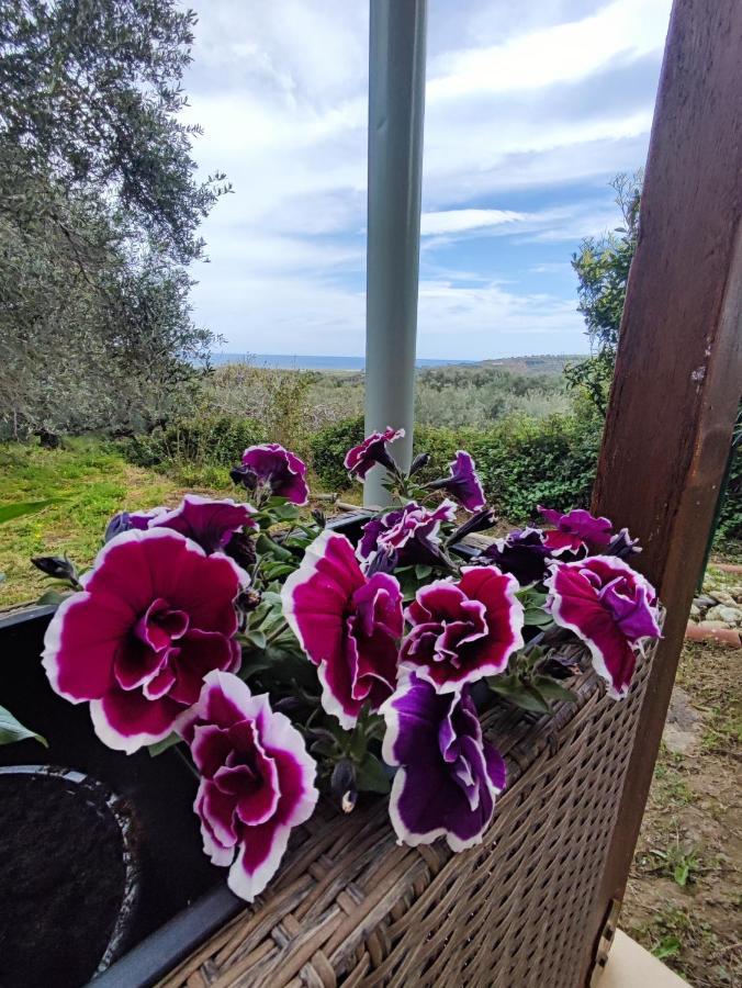Anatolika Stamatis Paradise Dempla Exteriér fotografie